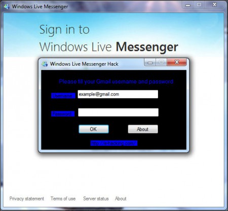 MSN 2011 Account Hack